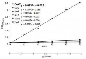 Cobalt Assay MAK024-1KT