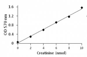 Creatinine Assay Kit MAK080-1KT