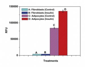 Fatty Acid Uptake Kit MAK156-1KT