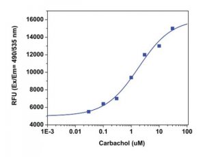 Fluorometric Intracellular pH Assay Kit MAK150-1KT