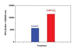 Fluorometric Intracellular Ros Kit MAK145-1KT