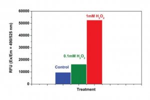 Fluorometric Intracellular Ros Kit MAK143-1KT