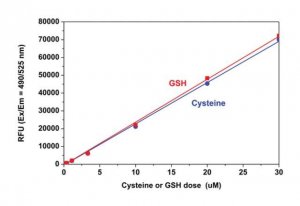 Fluorometric Thiol Assay Kit MAK151-1KT