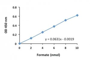 Formate Assay Kit 