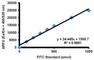 Gelatinase (Gelatin Degradation/Zymography) Assay Kit (Fluorometric) MAK348-1KT