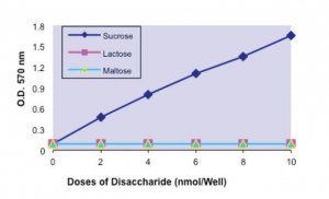 Glucose and Sucrose Assay Kit MAK013-1KT