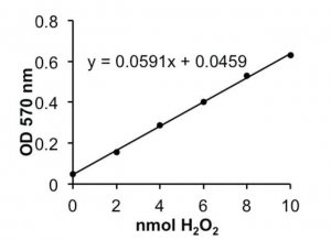Glucose Oxidase Activity Assay Kit MAK097-1KT