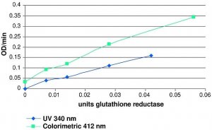 Glutathione Reductase Assay Kit 