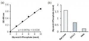 Glycerol-3-Phosphate Assay Kit MAK207-1KT