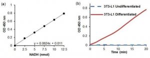 GPDH Activity Assay Kit MAK208-1KT