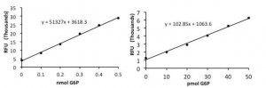 High Sensitivity Glucose-6-Phosphate Assay Kit MAK021-1KT