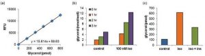 High Sensitivity Lipolysis Assay Kit MAK215-1KT