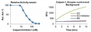 Human Calpain 1 Inhibitor Screening Kit MAK210-1KT