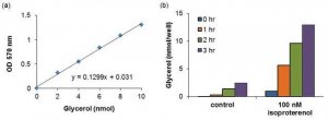 Lipolysis Colorimetric Assay Kit MAK211-1KT