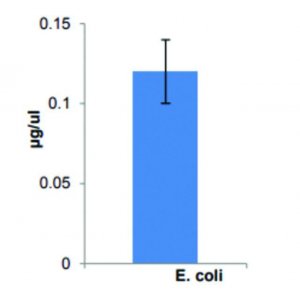 Lipopolysaccharide (LPS) Isolation Kit MAK339-1KT