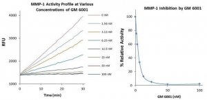 MMP-1 Inhibitor Screening Kit MAK212-1KT