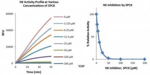 Neutrophil Elastase Inhibitor Screening Kit MAK213-1KT