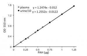 PAH (p-Aminohippuric Acid) Assay Kit MAK101-1KT