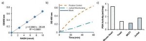 PDH Activity Assay Kit MAK183-1KT
