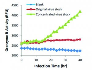 PEG Virus Precipitation Kit MAK343-1KT