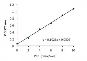 PEP Colorimetric/Fluorometric Assay Kit MAK102-1KT