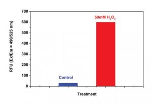 Proteasome 20S Activity Assay Kit MAK172-1KT