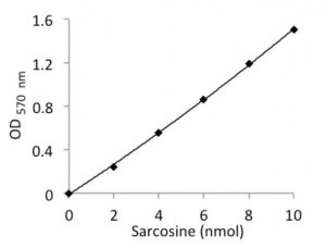 Sarcosine Assay Kit MAK073-1KT