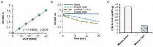 Succinate Dehydrogenase Assay Kit MAK197-1KT
