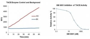 Tace Inhibitor Screening Assay Kit MAK218-1KT