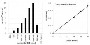 Total Antioxidant Capacity Assay Kit MAK187-1KT