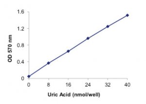 Uric Acid Assay Kit MAK077-1KT