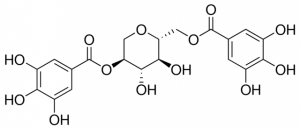 Aceritannin SMB00550-1MG