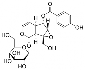 Catalposide SMB00094-1MG