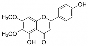 Cirsimaritin SMB00174-1MG