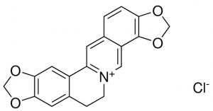 Coptisine Chloride 