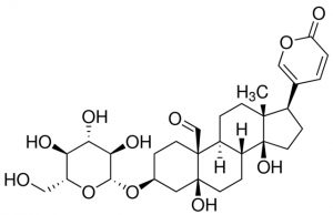 Hellebrigenin-3-O--glucoside SMB00536-1MG
