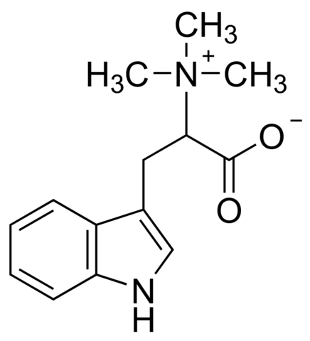 Hypaphorine SMB00084-1MG
