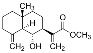 Quadrangolin A SMB00185-1MG