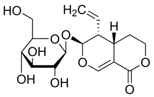 Sweroside SMB00083-1MG