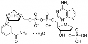 -Nicotinamide adenine dinucleotide phosphate hydrate 