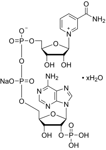-Nicotinamide adenine dinucleotide phosphate sodium salt hydrate 