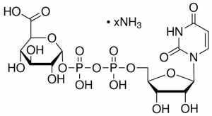 Uridine 5-diphosphoglucuronic acid ammonium salt 