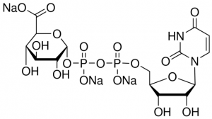 Uridine 5-diphosphoglucuronic acid trisodium salt 