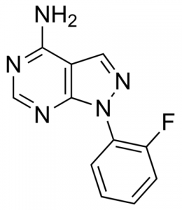 1-(2-Fluorophenyl)-1H-pyrazolo[3,4-d]pyrimidin-4-amine JRD0274-1G