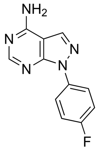 1-(4-Fluorophenyl)-1H-pyrazolo[3,4-d]pyrimidin-4-amine JRD0273-1G