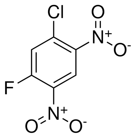 1-Chloro-5-fluoro-2,4-dinitrobenzene CDS005175-100MG