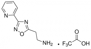 2-(3-Pyridin-2-yl-1,2,4-oxadiazol-5-yl)ethanamine trifluoroacetate salt CBR01073-1G