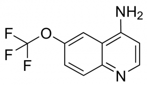 4-Amino-6-trifluoromethoxyquinoline BBO000304-1G