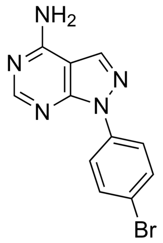 1-(4-Bromophenyl)-1H-pyrazolo[3,4-d]pyrimidin-4-amine JRD0275-1G