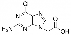 2-Amino-6-chloro-9H-purine-9-acetic acid 478563-1G